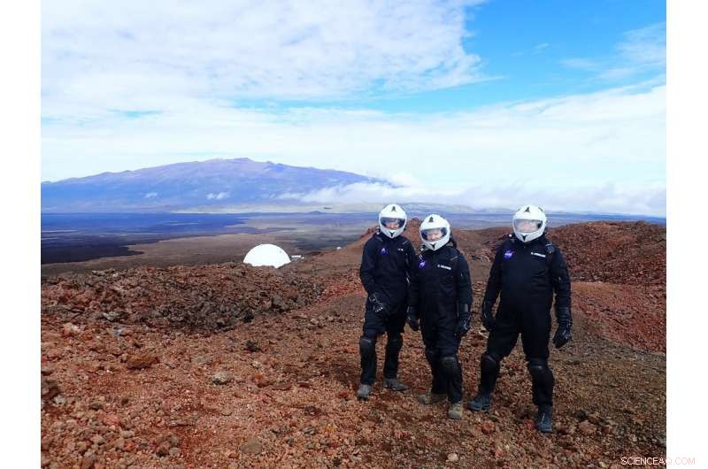 Tracking Astronaut Mental Performance on Mars Missions: Insights from HI-SEAS Research