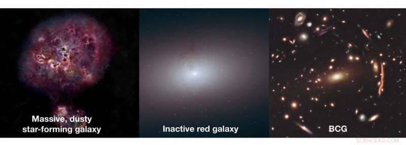 Astronomers Identify Rare Giant Galaxy from the Early Universe