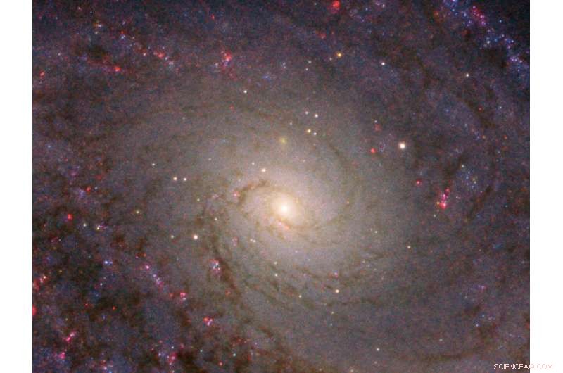Hubble Reveals the Stunning Grand-Design Spiral Galaxy NGC 5364