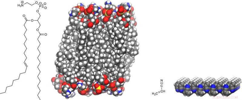 Could Polarity-Inverted Membranes Self-Assemble on Titan, Saturn’s Largest Moon?