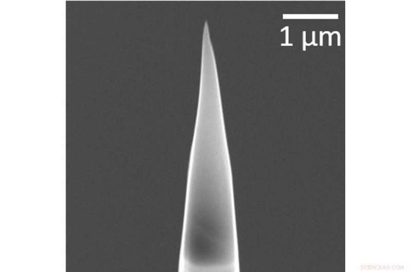 A Single Grain of Moon Dust That Revolutionized Lunar Science