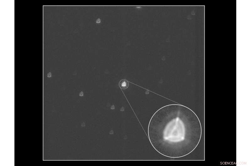 CHEOPS Space Telescope Captures First Images: A Milestone in Exoplanet Observation