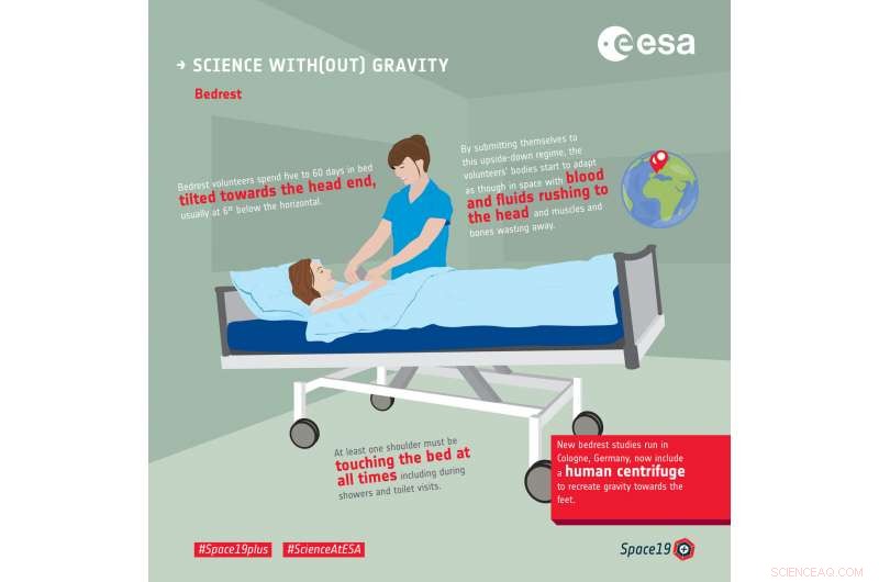 Revolutionizing Spaceflight Training with Advanced Dry Immersion Beds