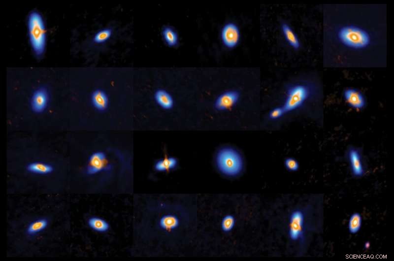 Newborn Stars Shape Planet Formation: Insights from ALMA and VLA Observations