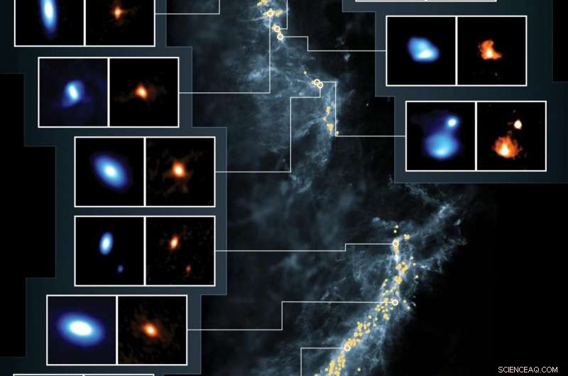 Newborn Stars Shape Planet Formation: Insights from ALMA and VLA Observations