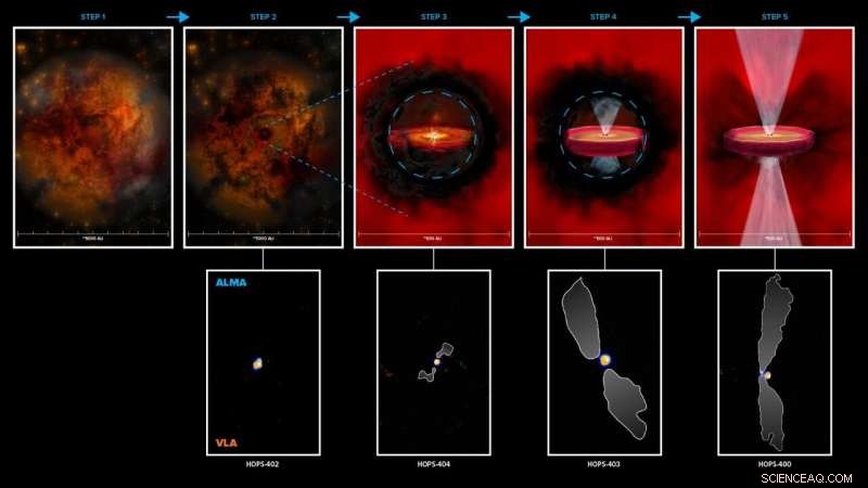 Newborn Stars Shape Planet Formation: Insights from ALMA and VLA Observations