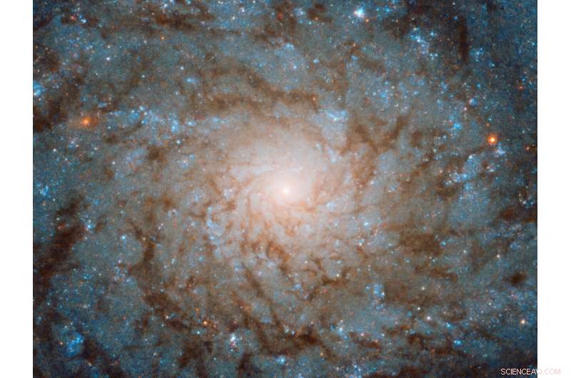 Hubble Captures NGC 4689: A Fingerprint-Like Spiral Galaxy