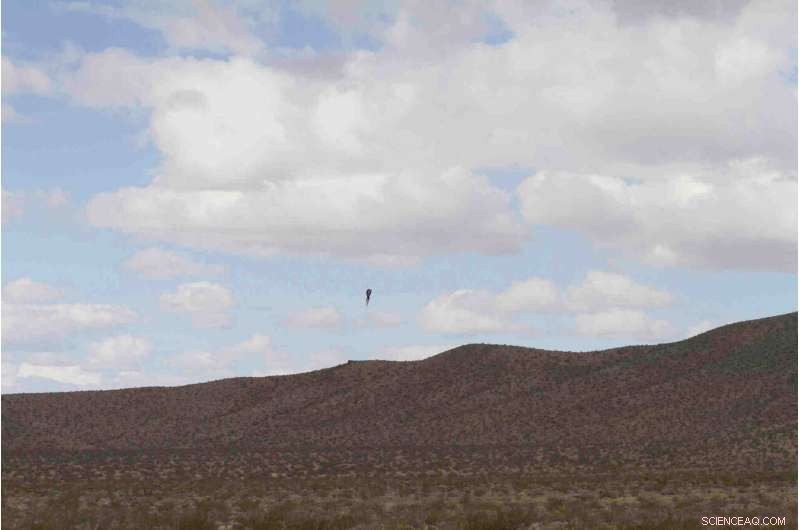 Flat‑Earth Advocate Mike Hughes Dies in California Rocket Crash