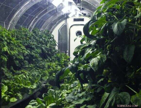 Autonomous Orbital Greenhouses: Fresh Veggies for Future Astronauts