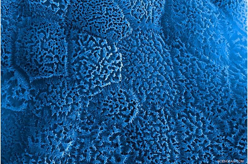 Airbus and NASA Launch Innovative 3D Printing, Footwear, and Shower Systems to the ISS