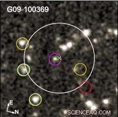 Unveiling Ultrared Dusty Galaxies: Star Formation Secrets from 12 Billion Years Ago