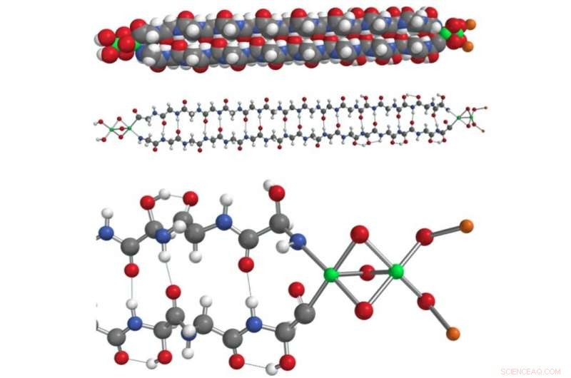 Scientists Identify Protein Structures in Meteorite Sample