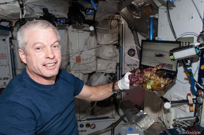 Space Lettuce: Nutritious, Safe Crops to Enhance Long-Distance Missions