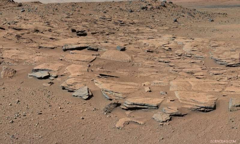 ExoMars Mission Postponed 2 Years Over Technical Glitches and COVID-19 Hurdles