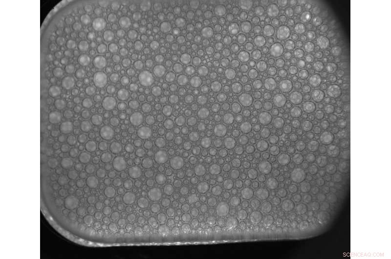 Space Foam Begins Bubbling Early in ESA s Columbus Fluid Science Lab