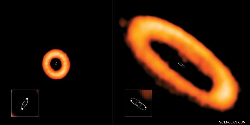 Unusual Orbital Alignments in Protoplanetary Disks Around Binary Stars