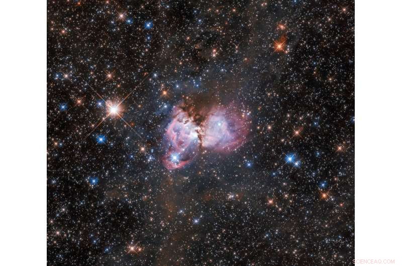 Exploring the Birthplaces of Massive Stars in the Tarantula Nebula