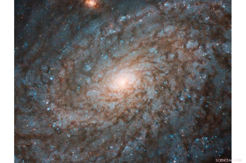 Hubble Captures Fluffy Spiral Galaxy NGC 4237