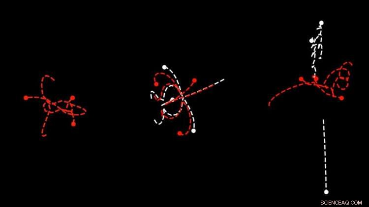 Exploring Time Symmetry: How Physics Governs Black Hole Interactions