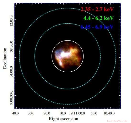 XMM-Newton Reveals Detailed Anatomy of Supernova Remnant W49B