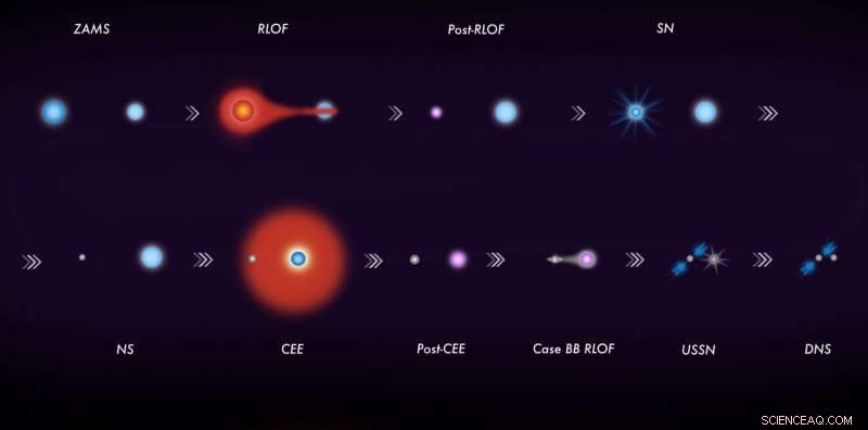 Scientists Release Public Beta of COMPAS Code to Unlock Black Hole Mysteries
