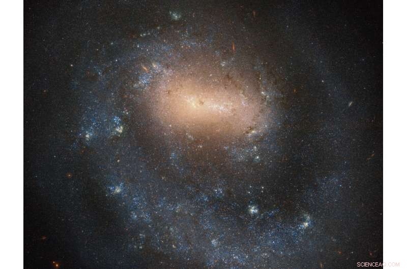 Hubble Captures Stunning One-Arm Galaxy Revealing Cosmic Interactions