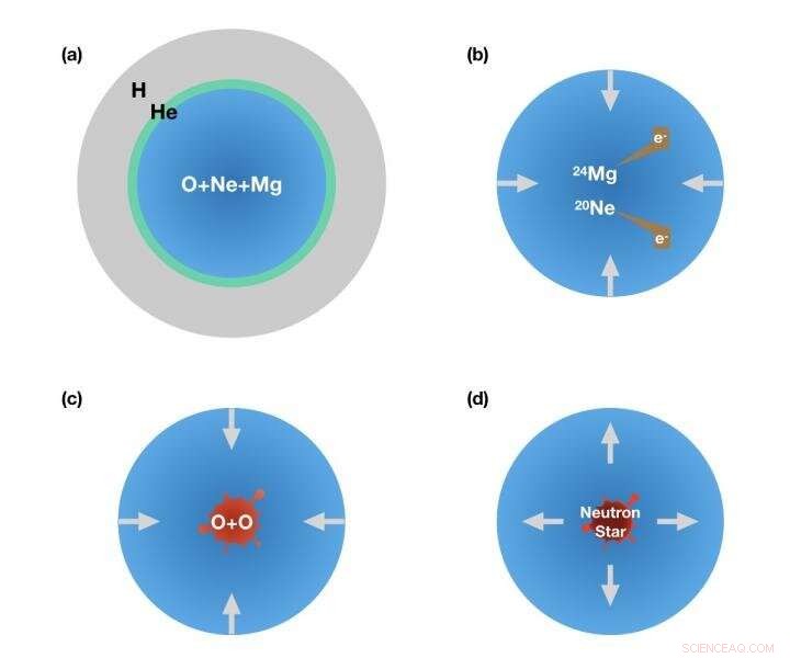 Neon-Induced Electron Capture Triggers Stellar Collapse into a Neutron Star
