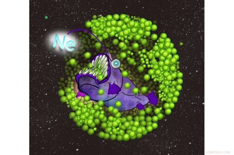 Neon-Induced Electron Capture Triggers Stellar Collapse into a Neutron Star