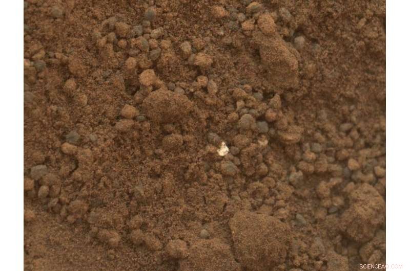 Selecting Martian Rocks for Earth Return: A NASA & ESA Collaboration
