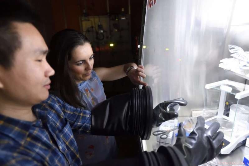 Sulfur: The Cosmic Spice That Could Reveal Life on Exoplanets