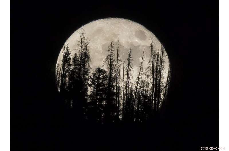 Witness This Week s Supermoon: The Year’s Largest and Brightest Lunar Event