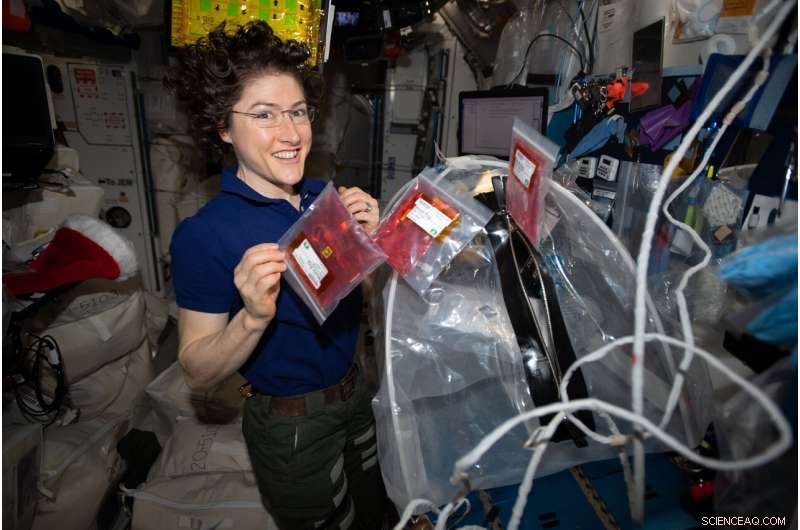 SpaceX Dragon Returns 3‑D Printing Biology Experiments to Earth