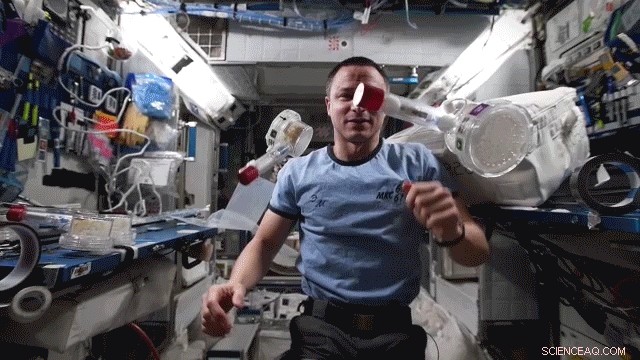 SpaceX Dragon Returns 3‑D Printing Biology Experiments to Earth