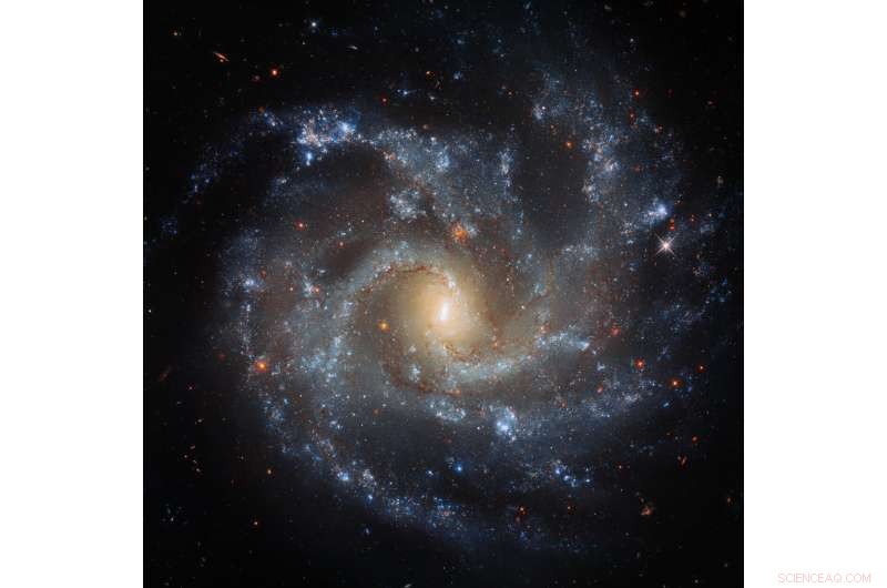 Advanced Bulge Modeling Unveils Key Insights into Spiral Galaxy Evolution