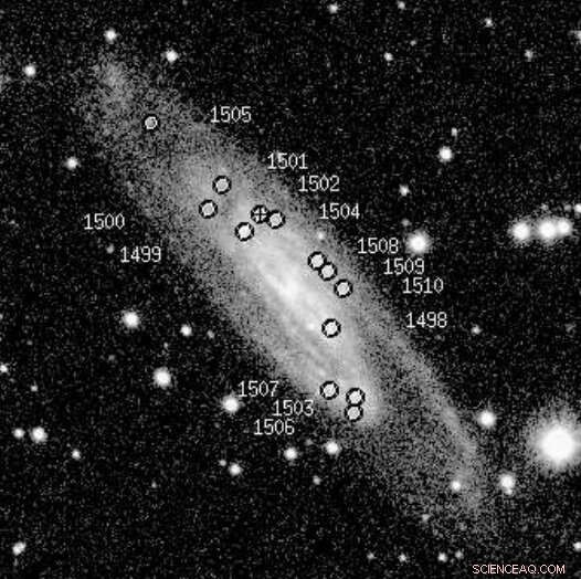 Scientists Uncover Star-Forming Complexes in Spiral Galaxy UGC 11973