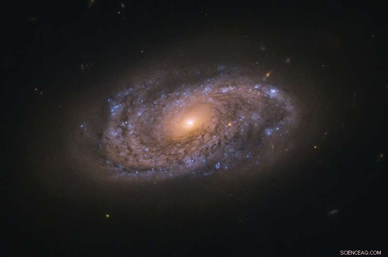 Hubble Unveils Stunning Spiral Galaxy NGC 2906