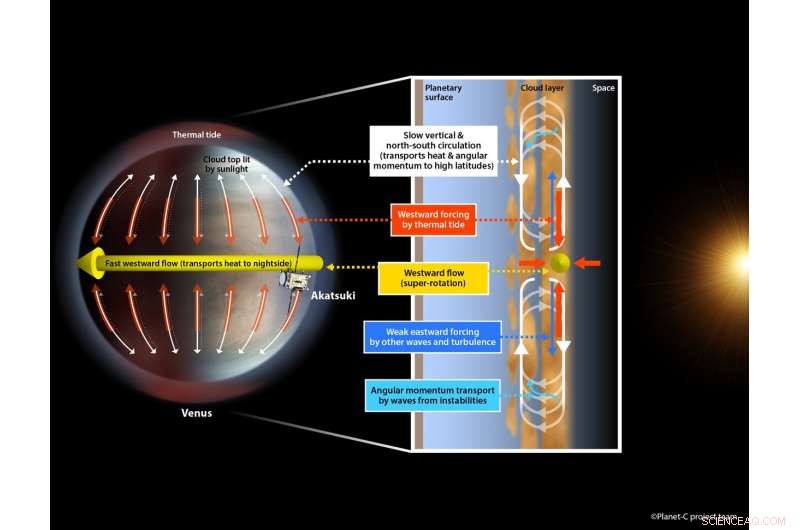 Atmospheric Tidal Waves Drive Venus’s Super‑Rotation
