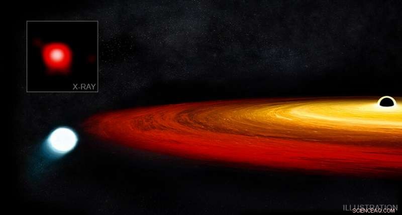 Astronomers Observe Star Surviving Close Encounter with Supermassive Black Hole