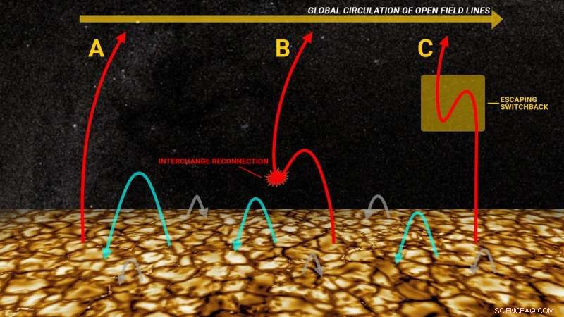 Parker Solar Probe Confirms 20-Year-Old Solar Theory with Magnetic Switchbacks