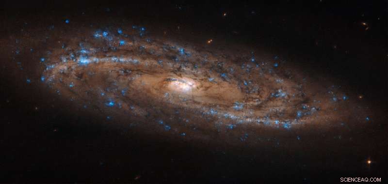 Hubble Captures Stunning Spiral Galaxy NGC 4100 in Crisp Detail