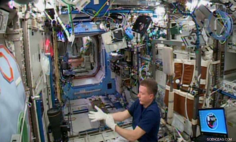 Space Station Microbes Mirror Crew Skin: Study Reveals Human Influence on ISS Environment