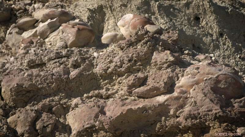 NASA Scientists Train in Nevada Desert for Perseverance Mars Rover Mission