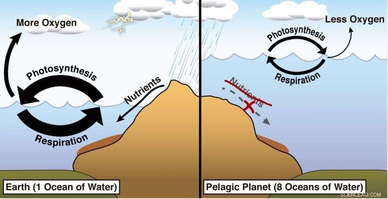 Exoplanets: How Effectively Do We Search for Life?