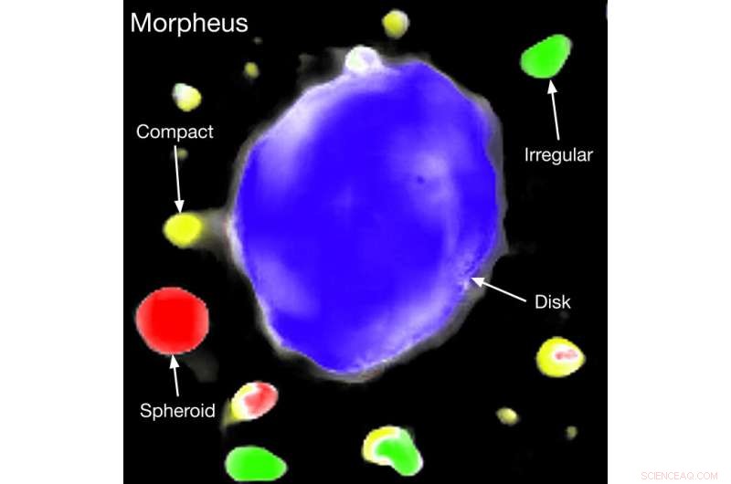 Morpheus AI: Precise Galaxy & Star Identification in Hubble Data
