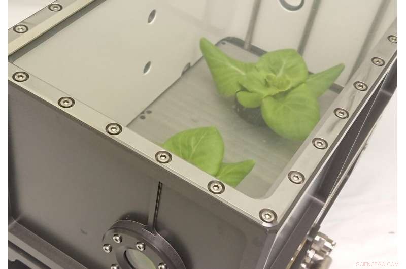 Sustainable Food & Water Systems for Long-Distance Space Missions