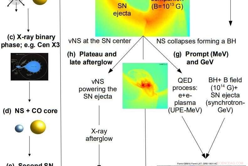 Observational Evidence Strengthens the Binary-Driven Hypernova Model