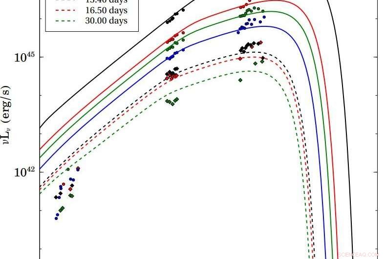 Observational Evidence Strengthens the Binary-Driven Hypernova Model