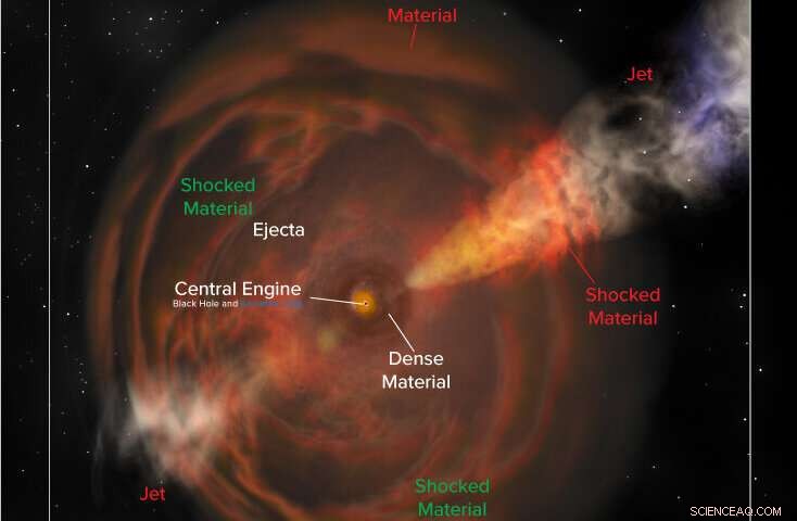 New Fast Blue Optical Transients Identified:  Cow ,  Koala , and CSS161010 Expand the FBOT Family