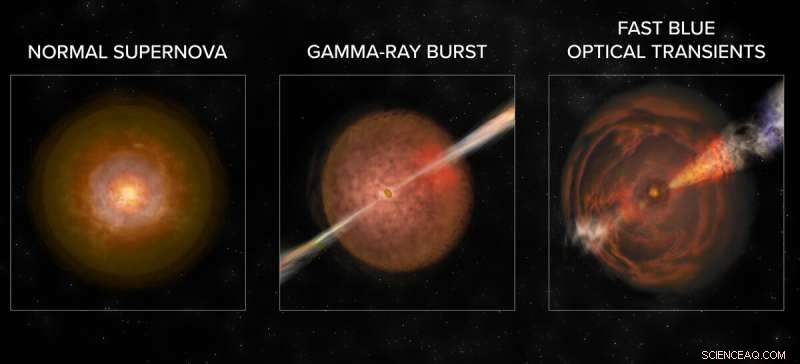 New Fast Blue Optical Transients Identified:  Cow ,  Koala , and CSS161010 Expand the FBOT Family