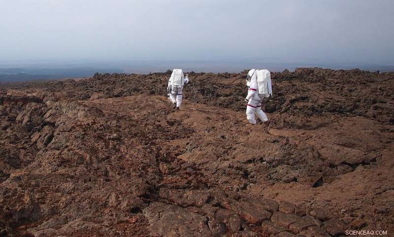 Training Astronauts for Solo Mars Missions: Isolation Experiments at Mauna Loa